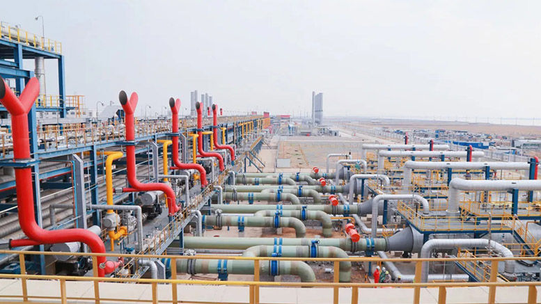 中石化天津LNG接收站二期IFV