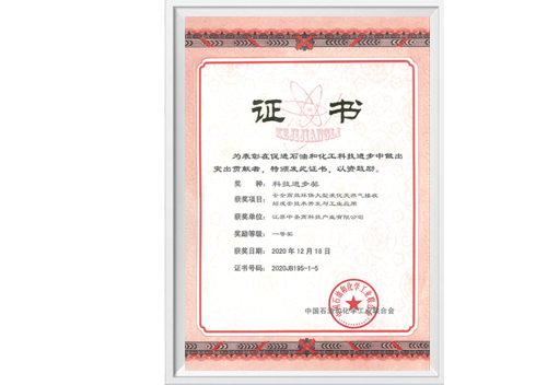 中石油化工聯(lián)合會(huì)科技進(jìn)步一等獎(jiǎng)